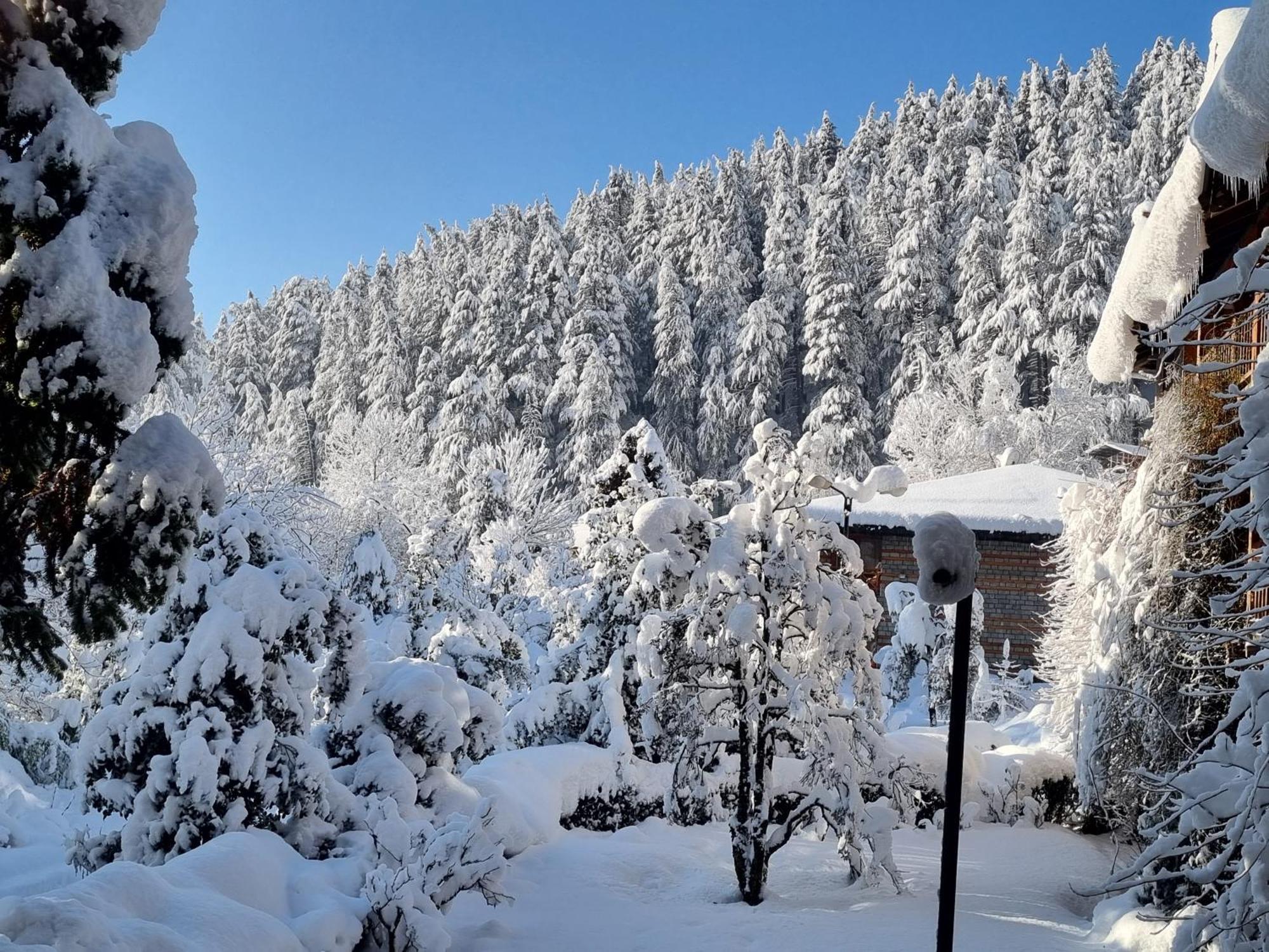 Banon Resorts Manāli Exterior foto
